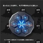 【限定セール】 音楽ボクシングマシン スマート ディスプレイ付き ライト付き 子供大人 壁掛け ボクシングトレーニングパンチング機器 エクササイズ ターゲット
