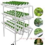 水耕栽培キット野菜栽培キットすいこ...