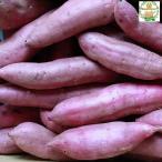  Кагосима префектура производство батат .. ..M размер × 5kg 2025/08 ежемесячный доход . завершено 