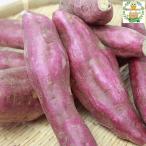  Кагосима префектура производство батат .. ..M размер 2kg Кагосима префектура производство 2025/08 ежемесячный доход . завершено 