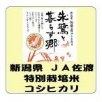 Yahoo! Yahoo!ショッピング(ヤフー ショッピング)新潟県産 JA佐渡 特別栽培米 コシヒカリ　令和6年産   白米5kg　送料無料（本州のみ）　