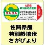 佐賀県産　特別栽培米　さがびより　5Kg　佐賀県産  特別栽培米 さがびより 令和7年産　白米5kg　送料無料（本州のみ）