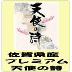 佐賀県産　天使の詩　5Kg　佐賀県産 プレミアム 天使の詩　令和6年産　白米5kg　送料無料（本州のみ）　