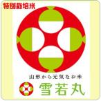 Yahoo! Yahoo!ショッピング(ヤフー ショッピング)山形県産　特別栽培米　雪若丸　令和6年産　白米5kg　送料無料