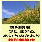 愛知県産　あいちのかおり　特別栽培米　白米　10kg　愛知県産 プレミアム　あいちのかおり 特別栽培米（減農薬・減化学肥料）　令和7年産　白米10kg　送料無料（本州のみ）