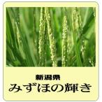 新潟県産　みずほの輝き　白米　送料無料　新潟県産　みずほの輝き　令和7年産　白米10kg　送料無料（本州のみ）　
