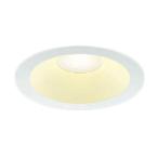 * Koizumi AD7306W27 [ закрытый наружный двоякое применение ] LED встраиваемый светильник обновленный соответствует широкий рамка-оправа . включено дыра φ125 высота ..SB форма белый огонь лампа 60W соответствует лампа цвет style свет возможность . свет защита от дождя *.. type 