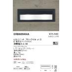 遠藤照明 ERB6094HA STYLISH LEDZ アウトド