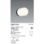 遠藤照明 ERB6573BA LEDアウトドアブラ�