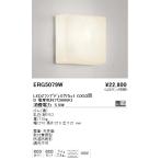 遠藤照明 ERG5079W STYLISH LEDZ アウトド