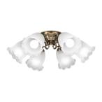 ショッピングシャンデリア オーデリック OC257271NR LEDシャンデリア 8畳用 R15高演色 クラス2 昼白色 非調光 電気工事不要 照明器具 天井照明 おしゃれ 【〜8畳】