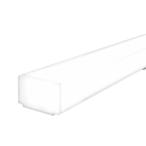 遠藤照明 RAD-625N LEDベースライト用 L