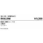 遠藤照明 RK-619W デザインベースライ