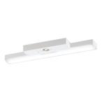 ǥå XR506007R1D LED١饤 Ѿ R15鿧饹2 ľշ ȥշ 20 FL20W1 Ĵ 3500K ʿŷ