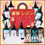 数量限定販売【2025 福袋】レジン豪華 福袋 B【送料無料】レジン液 8種入り レジン着色剤 パールパウダー シリコンモールド ハンドメイド素材