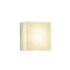 大光電機 DWP-40255Y LED浴室灯 天井付 壁付兼用 LED交換不可 防雨 防湿形 傾斜天井対応 電球色 非調光 白熱灯100W相当 照明器具 住宅浴室 洗面所用照明