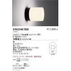 遠藤照明 ERG5467BB LEDアウトドアブラ�