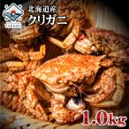 北海道産 クリガニ 1kg(8-10尾入り)  トゲクリガニ クリがに トゲクリカニ 蟹 海鮮 かに くりがに
