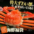ジャンボズワイガニ姿900gが必ず入った福袋セット 送料無料 ズワイガニ ずわいがに ズワイ蟹 お歳暮 御歳暮 プレゼント ギフト 2022 在庫処分