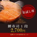 【夏季クール便使用　+220円】送料無料 ますのすし 一重  消費期限:到着日まで 本州限定 東北 関西以西は要追加送料 鱒の寿司  鱒ずし  無添加