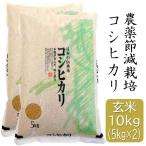 ショッピング米 7年産 特別栽培米 コシヒカリ 玄米 10kg(5キロ×2袋) 福井県産