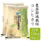 ショッピング米 10kg 7年産 特別栽培米 コシヒカリ 精米 10kg(5キロ×2袋) 福井県産