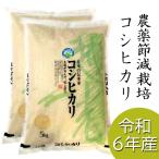6年産 特別栽培米 コシヒカリ 精米 10kg(5キロ×2袋) 福井県産