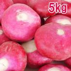  красный ... красный Cub лист нет шар примерно 5kg Gifu префектура .. высота гора сырой овощи солености tsukemono дата указание не возможно 