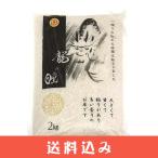 2025年龍の瞳2kg岐阜県飛騨産...