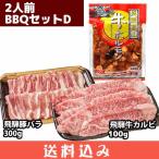 BBQ 焼肉 セット D 2人前 ~ 3人前 ( 飛騨牛 カルビ 100g / 飛騨豚 バラ 300g / 牛ホルモン 250g 1袋 ) 送料込 ※北海道1000円、沖縄1200円別途必要 冷凍