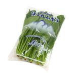  Gifu префектура производство .. высота гора шпинат местного производства 