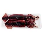 .... кальмар сырой еда для 2 высокий входить тихоокеанский кальмар сушеный кальмар .. праздник год брать . кулинария год конец пищевые ингредиенты .. высота гора Gifu местного производства 