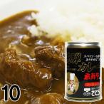 【10】 飛騨牛カレー キッチン飛騨 監修 さとうオリジナル 缶詰 2〜3食入 430 g×10缶 レトルト ビーフカレー 飛騨高山 ご当地カレー 岐阜