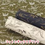 * симпатичный oks*[JURASSIC PERIOD] хлопок 100%oks ткань с принтом / динозавр / динозавр рисунок / окаменелость / Dinosaur / урок задний / входить . входить ./ мужчина /