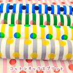 生地 布 北欧 Newストライプonドット コットンオックスプリント