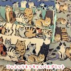 ткань ткань кошка KOKKA Art CAT окантовка кошка хлопок linen парусина принт кошка рисунок 