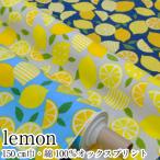レモン lemon 150ｃｍ巾 綿100％オック�