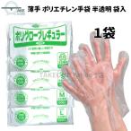 介護用手袋 ポリエチレン 手袋 使い捨て手袋 半透明 薄手手袋 1袋 100枚入 薄手 袋入 ポリグローブ レギュラー no.304 エブノ 軽作業