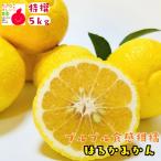  Special .. .. мандарин 5kg_ фрукты фрукты бесплатная доставка mi can мандарин .. было использовано прямая поставка от производителя подарок Wakayama Wakayama префектура Arita 