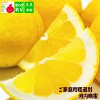 ご家庭用 粗選別 河内�