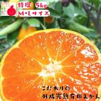  Arita мандарин Special . предубеждение. вне ... Arita мандарин M*L размер 5kg( подарок / бесплатная доставка / подарок по случаю конца года )