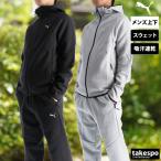 プーマ スウェット 上下 メンズ セットアップ ブランド PUMA エボストライプ EVOSTRIPE 691101 送料無料 新作 フード付き フーディ 速乾 吸水 吸汗 ドライ 3L