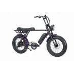 BRONX BUGGY 20" e-bike(Amethyst) 特大ライト付属 ブロンクス RAINBOW 電動 ファットバイク