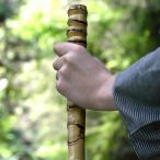  паломник трость (.....)