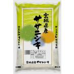 【新米】令和７年産　