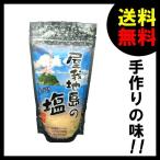 ショッピング塩 塩 屋我地島の塩 250g×2