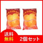 サーターアンダギー プレーンミックス粉500g ×2袋 送料無料 沖縄製粉 ヤマト運輸配送センター年中無休出荷