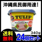 ショッピング塩 チューリップ　ポーク ランチョンミート（うす塩味）340g　TULIP　エコパック ×24　送料無料