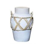 関帝紹興加飯酒24L化粧箱入り17...