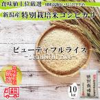 新米 令和５年産 新潟